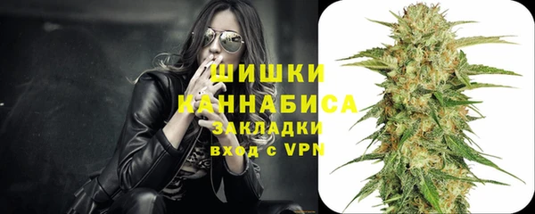 стаф Дмитриев