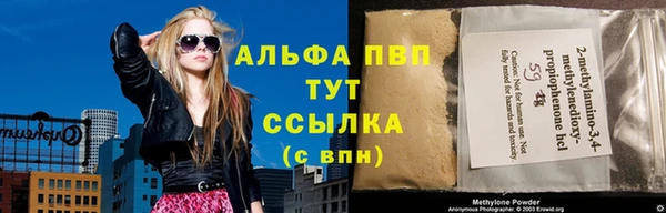 стаф Дмитриев