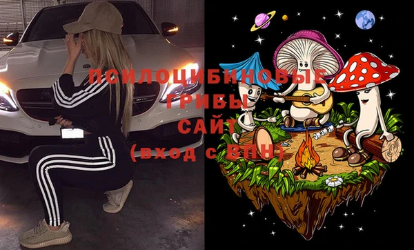 стаф Дмитриев