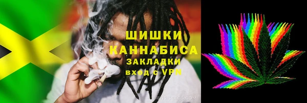 стаф Дмитриев