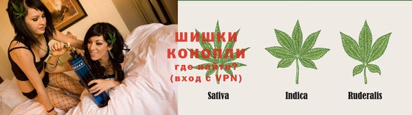 стаф Дмитриев