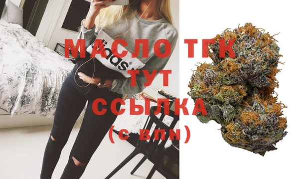 стаф Дмитриев