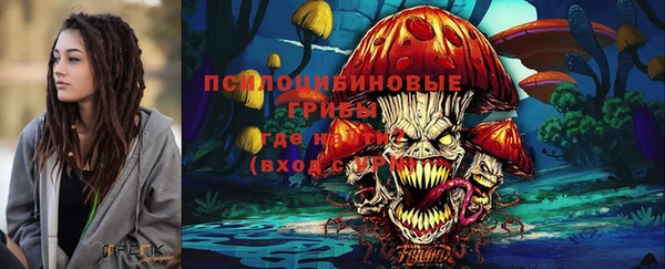 стаф Дмитриев