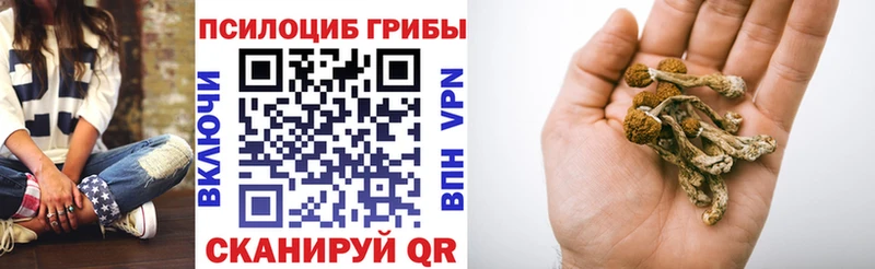 Псилоцибиновые грибы мицелий  Купить закладки  Туймазы 
