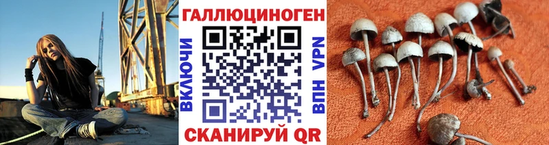 Галлюциногенные грибы Magic Shrooms Туймазы